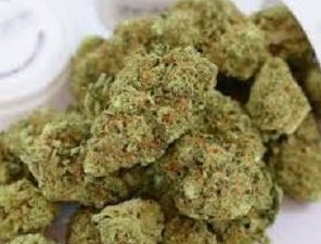 buy kosher kush marijuana online